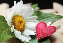 Jaki zacisk do sztycy 27 2?