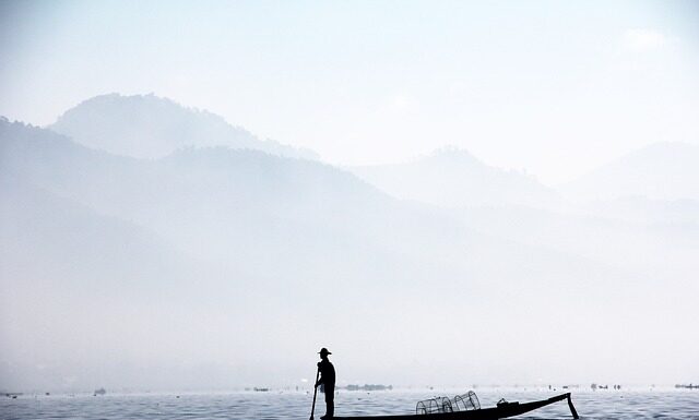 Jaki wioślarz kupić do domu forum?